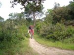 falso llano 023.jpg