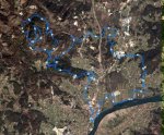 Tui 09-05-2010.jpg