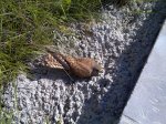 27042010165.jpg