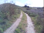 DSC00246.jpg