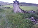 DSC00247.jpg