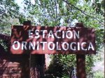 DSC00251.jpg
