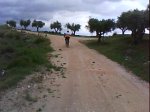 DSC00253.jpg