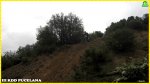 pucela061_1024x575.JPG