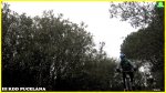 pucela014_1024x575.JPG