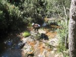 IMG_2618.jpg