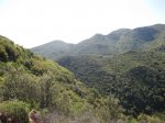 IMG_2625.JPG