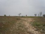 Pimera3.jpg