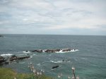 PICT0076.jpg