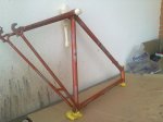 11052010031.jpg