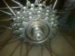 11052010008.jpg