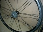 DSCN4065.JPG