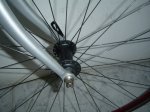 DSC04489.JPG