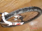 DSC07718.jpg
