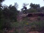 froggy 011_northshore.jpg