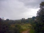 Foto25.JPG