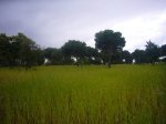 Foto36.JPG