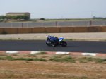 Alcarras 075.jpg
