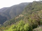 Imagen019.jpg