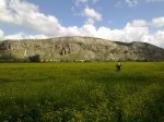 11052010352.jpg