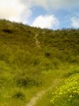 11052010340.jpg