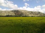11052010355.jpg