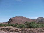 SANY0398.jpg