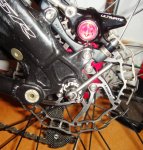 DSC07852.JPG
