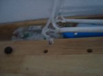 DSC00433.jpg