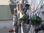 10052010142.jpg