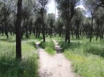CIMG0709.JPG