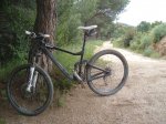 giant 006.jpg