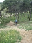 DSC02206.jpg