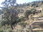 LOS_VALLEJOS_07_032.jpg