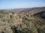 LOS_VALLEJOS_07_034.jpg
