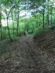 DSC00841.jpg