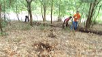 DSC00845.jpg