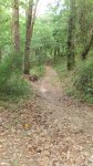 DSC00843.jpg