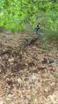 DSC00844.jpg