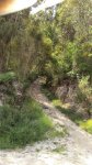 DSC00832.jpg