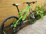 Ibis  ST1w..JPG