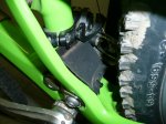 Ibis prot1w..JPG