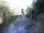 IMG_2924.jpg