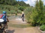 2010-05-15 001 2010-05-15 006.jpg