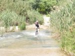2010-05-15 001 2010-05-15 009.jpg
