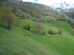 DSC06074.jpg