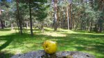 Foto27.JPG