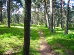 Foto29.JPG