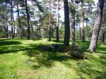 Foto26.JPG