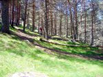 Foto16.JPG